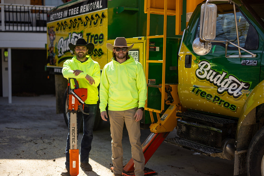 🛠️ When Should You Call a Tree Service? 5 Signs It’s Time