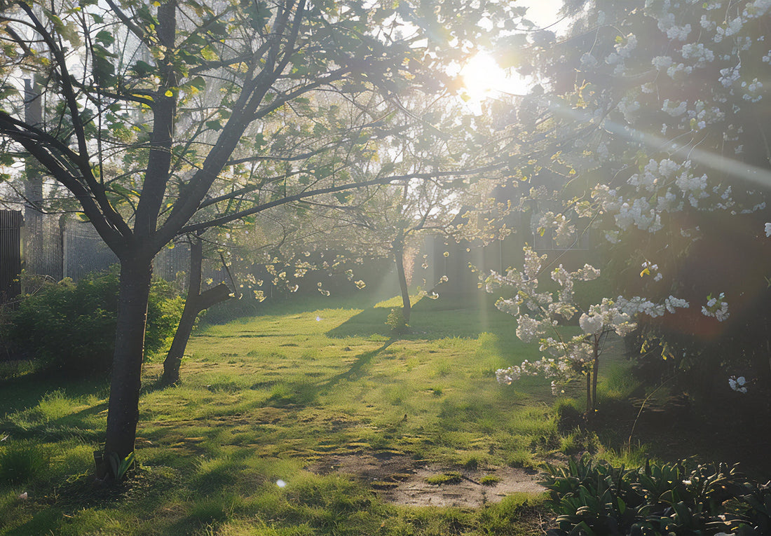 Spring Into Action: Why Now Is the Best Time for Tree Trimming & Removal
