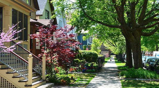 Expert Tree Trimming in Kansas City: Why Now Is the Best Time to Schedule Service