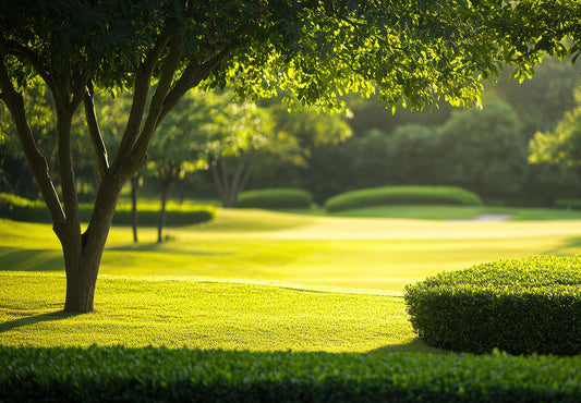 The Secret to Healthy, Beautiful Trees? Regular Tree Trimming