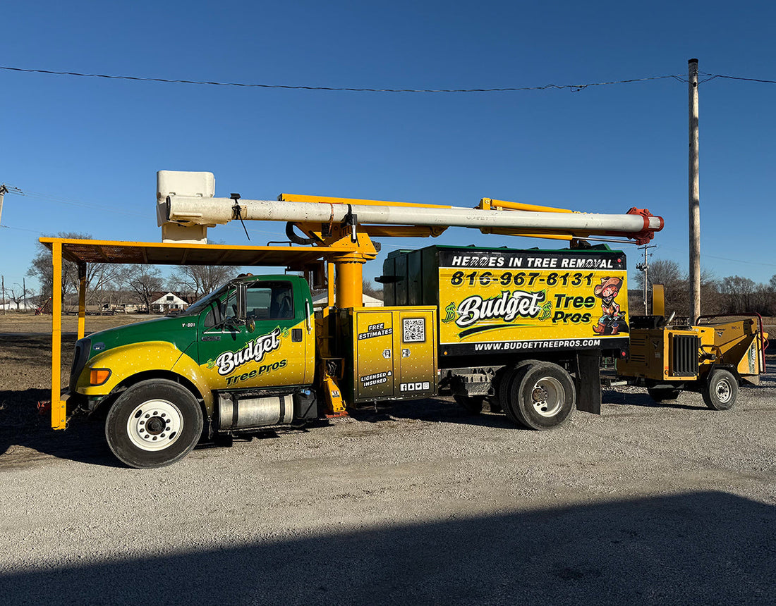 Keep Your Kansas City Property Safe and Beautiful with Expert Tree Services