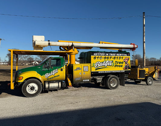 Keep Your Kansas City Property Safe and Beautiful with Expert Tree Services