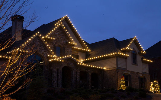 Light Up the Holidays with Budget Tree Pros!