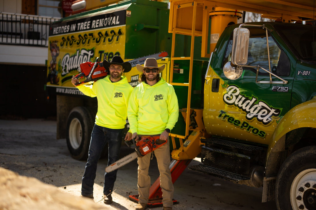 Why Choosing a Locally Owned Tree Removal Company is the Smart Choice