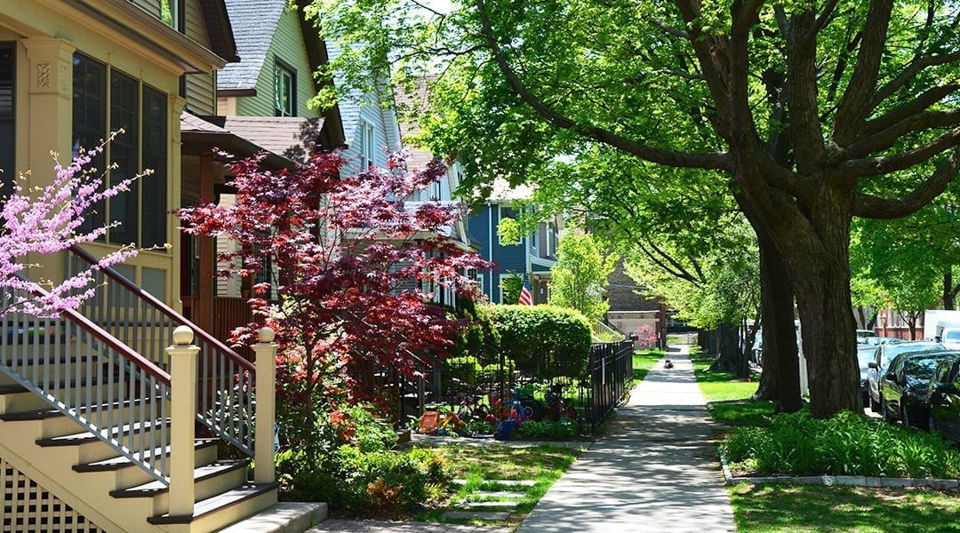 Expert Tree Trimming in Kansas City: Why Now Is the Best Time to Schedule Service