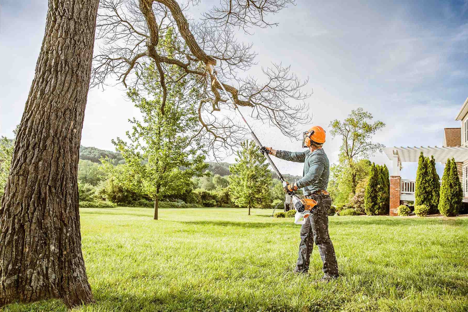 Fall Tree Trimming in Kansas City: Why Now Is the Perfect Time