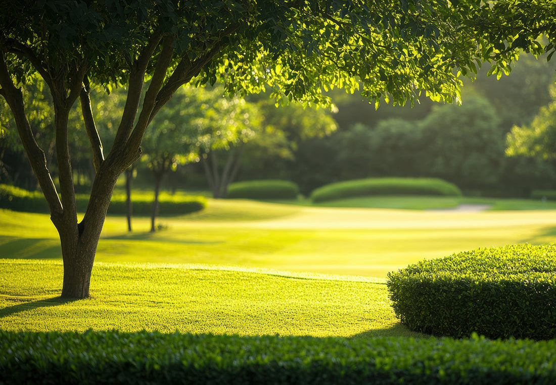 The Secret to Healthy, Beautiful Trees? Regular Tree Trimming