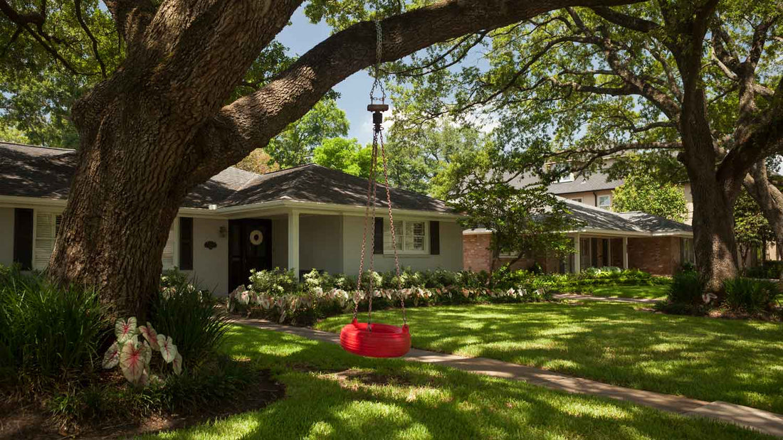 End-of-Summer Tree Trimming in Kansas City: Why Now Is the Perfect Time