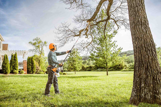 Kansas City Tree Trimming: Protect Your Home and Keep Your Trees Healthy